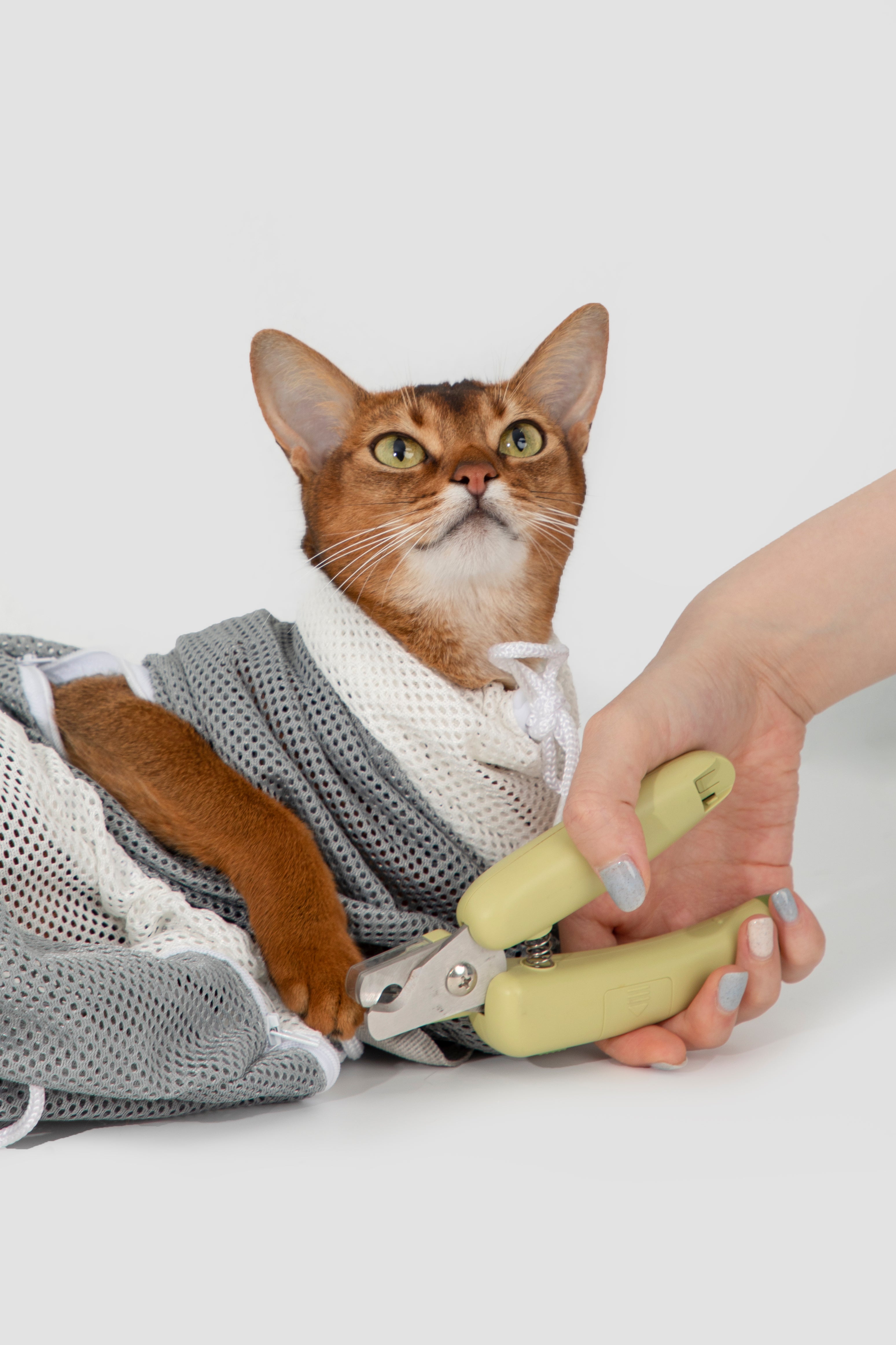 Cat Washing Bag