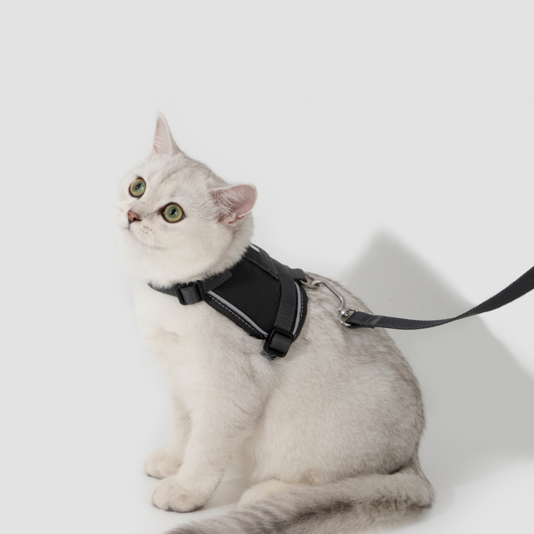 Vest Leash