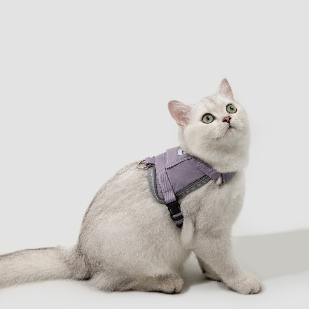 Vest Leash