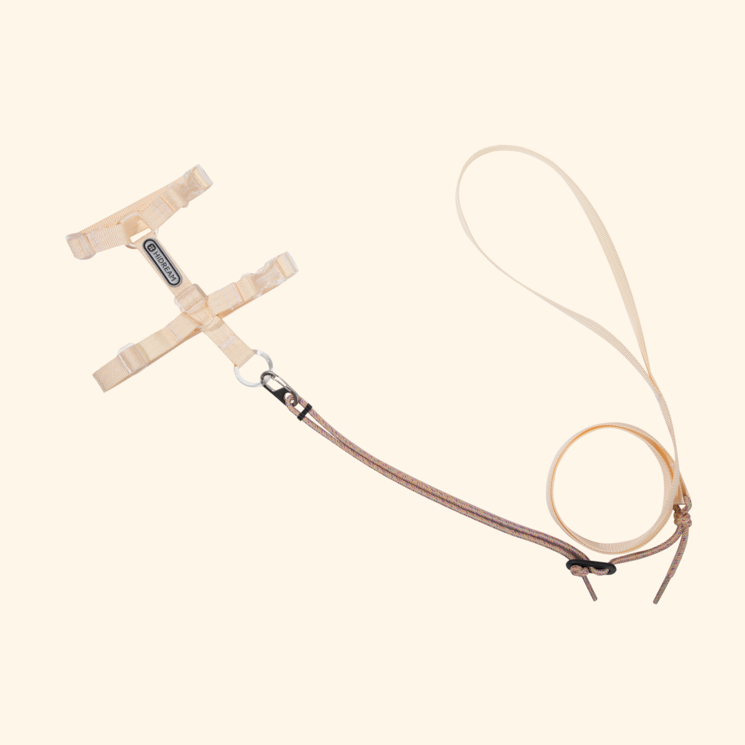 Free Exploration Series Leash