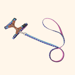 Rainbow Leather Leash